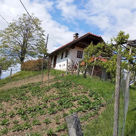 Carovina